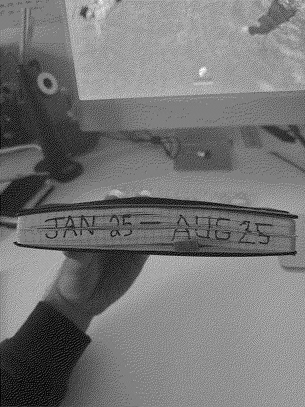 Jet Williams finished journal