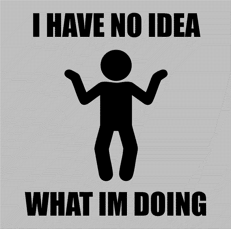 I HAVE NO IDEA WHAT IM DOING ALBUM COVER