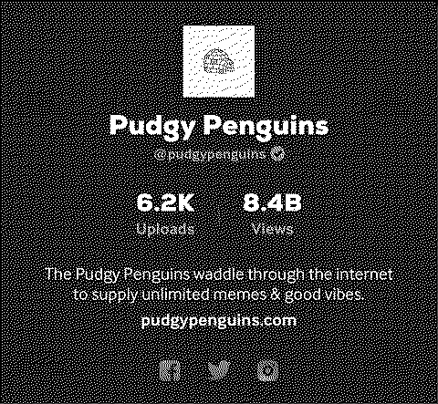 Pudgy Penguins Giphy Account